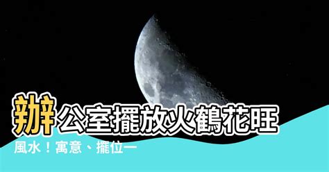 火鶴辦公室風水|火鶴可以放房間嗎？專家教你風水佈局，打造和諧家居環境